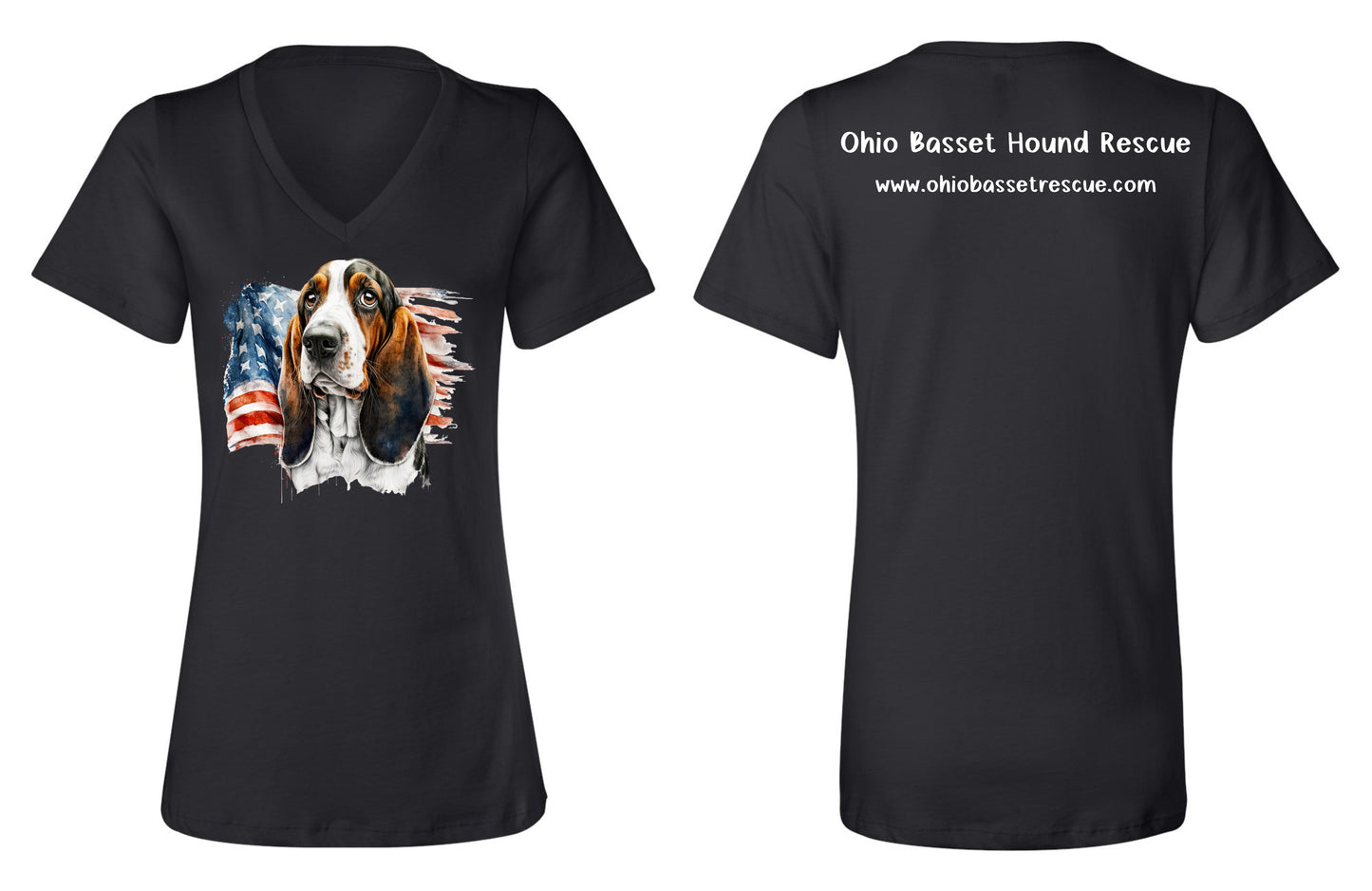 Leroy with American Flag Women's V-neck