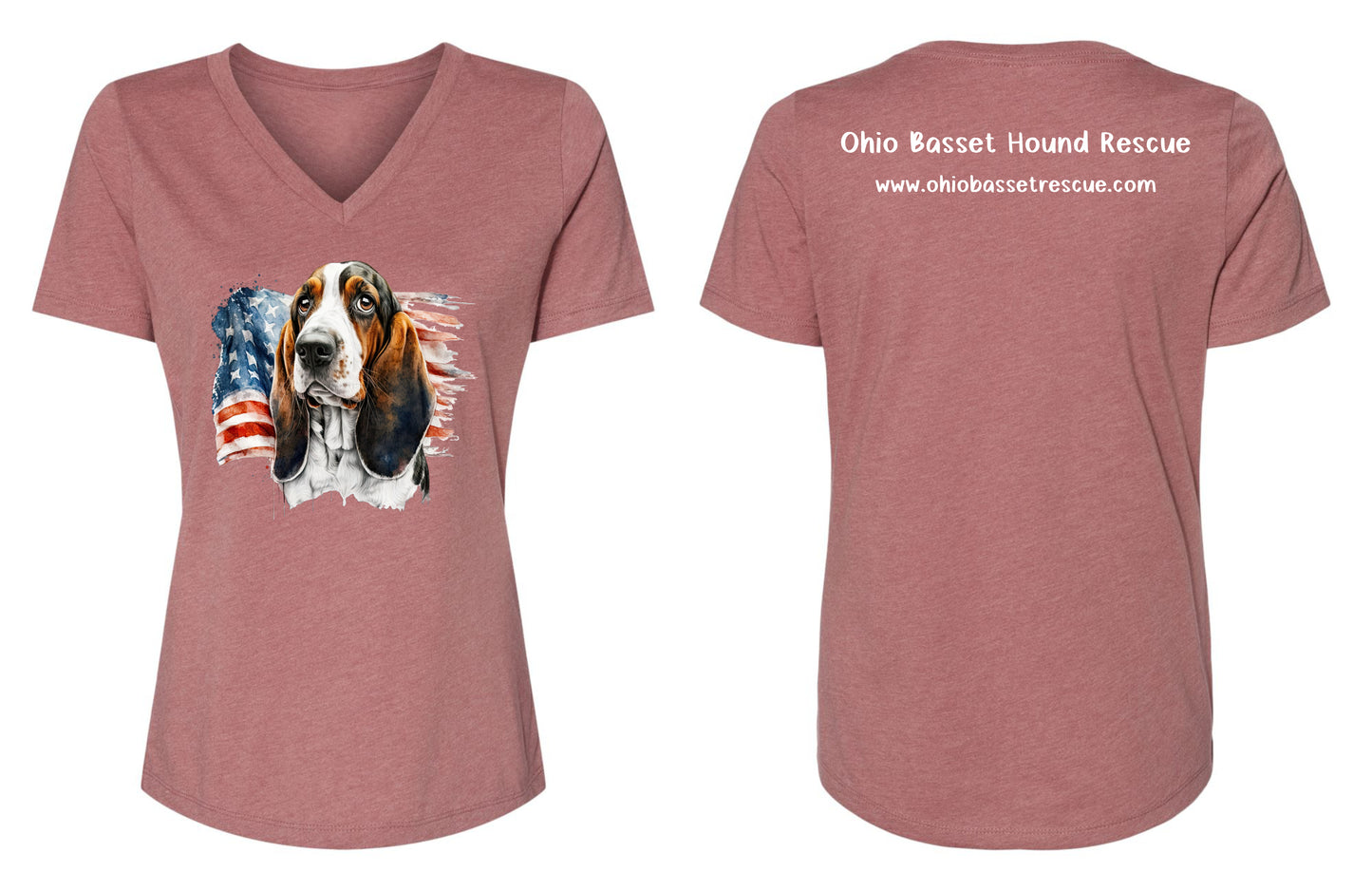 Leroy with American Flag Women's V-neck