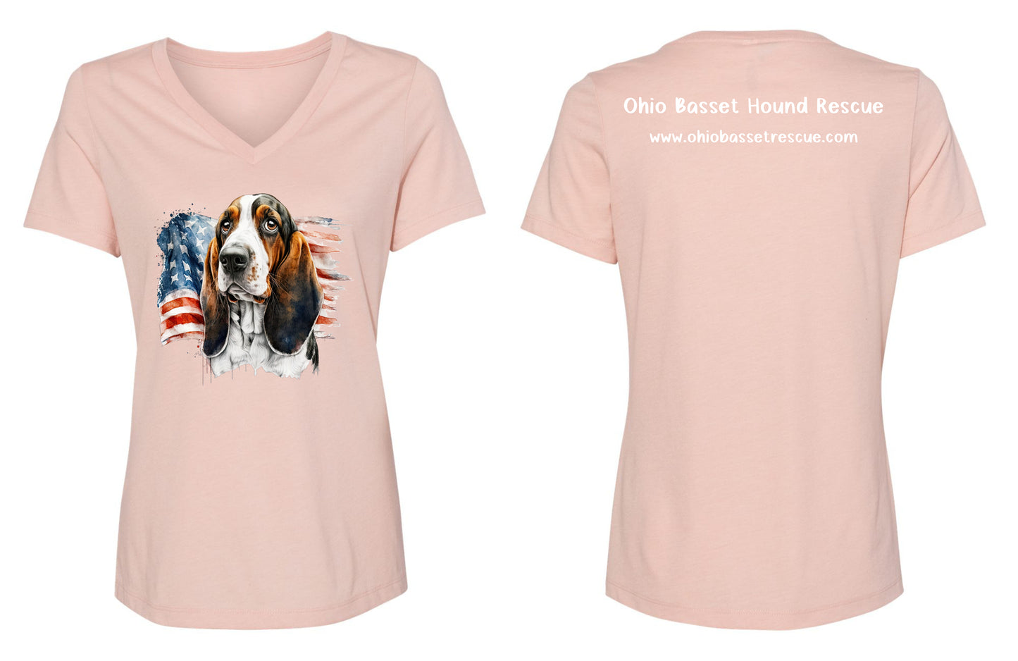 Leroy with American Flag Women's V-neck