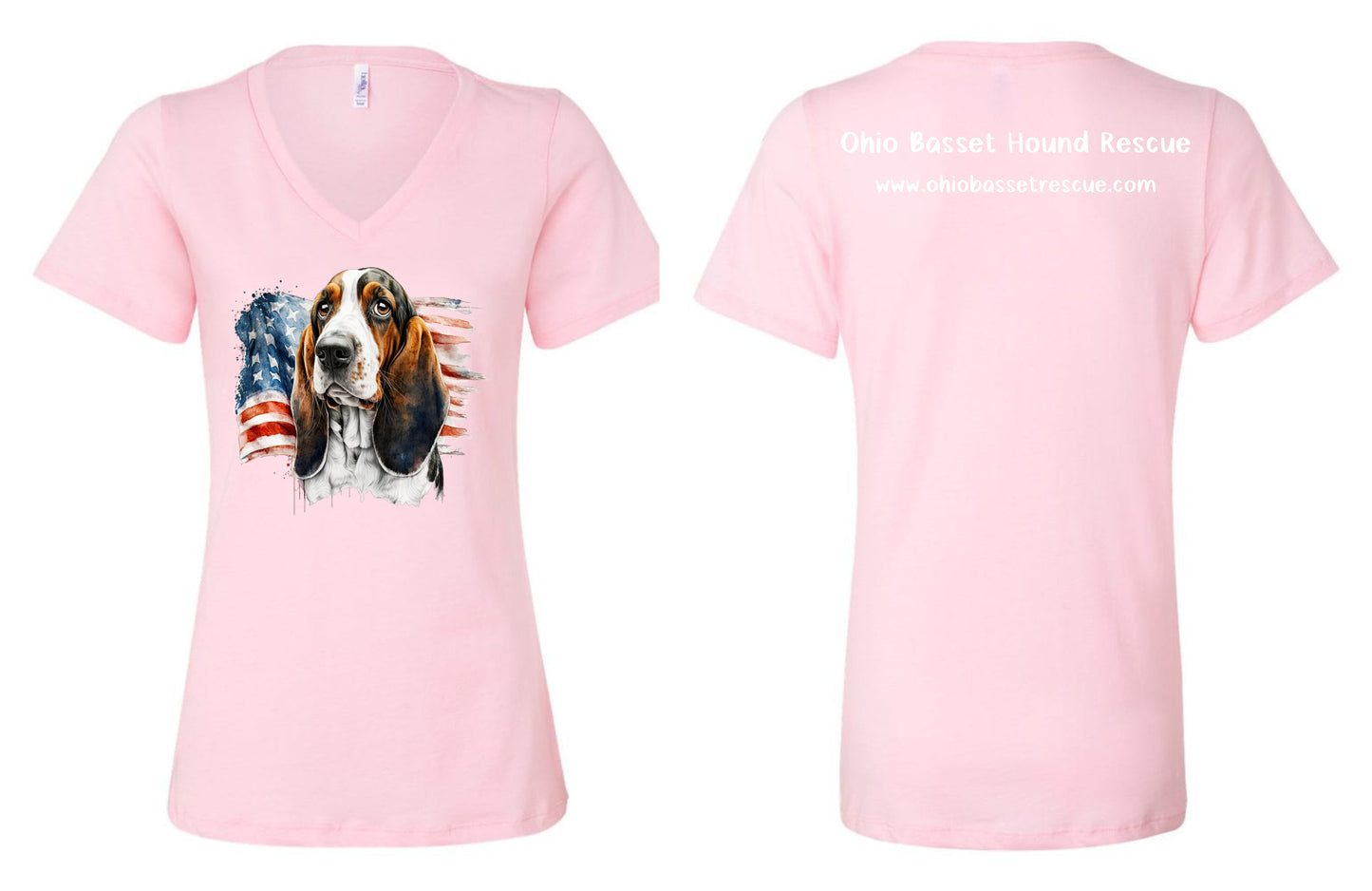 Leroy with American Flag Women's V-neck