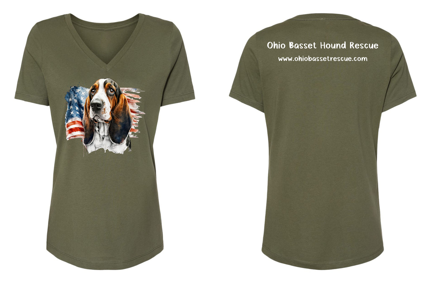 Leroy with American Flag Women's V-neck