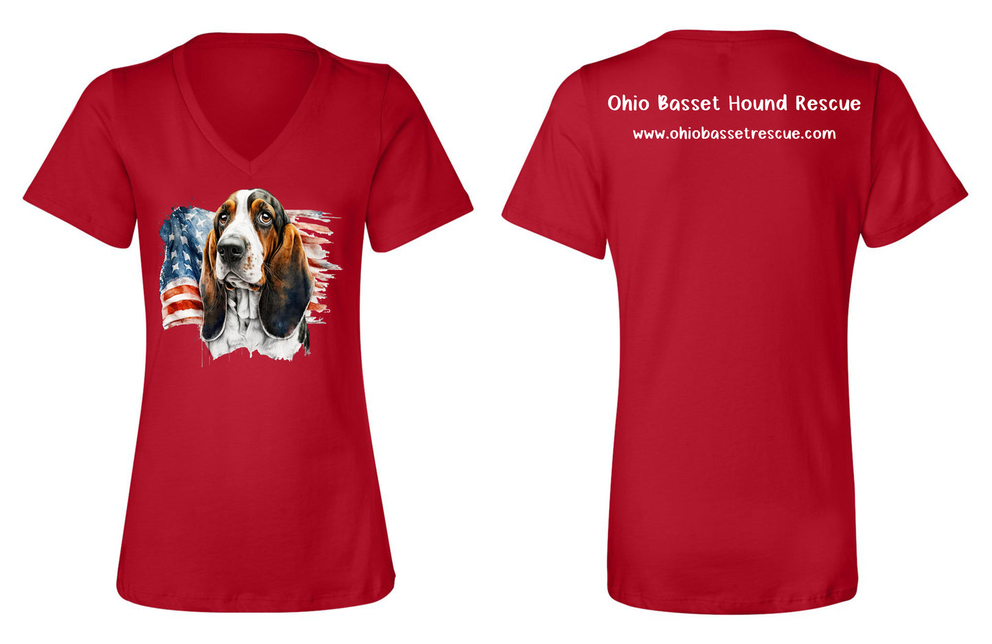 Leroy with American Flag Women's V-neck