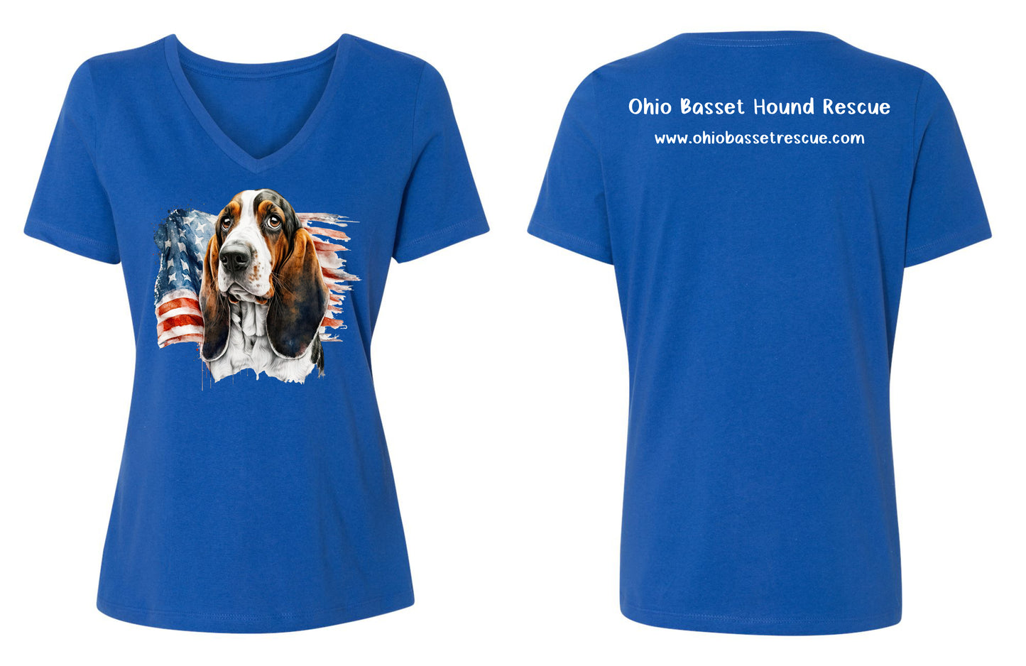 Leroy with American Flag Women's V-neck