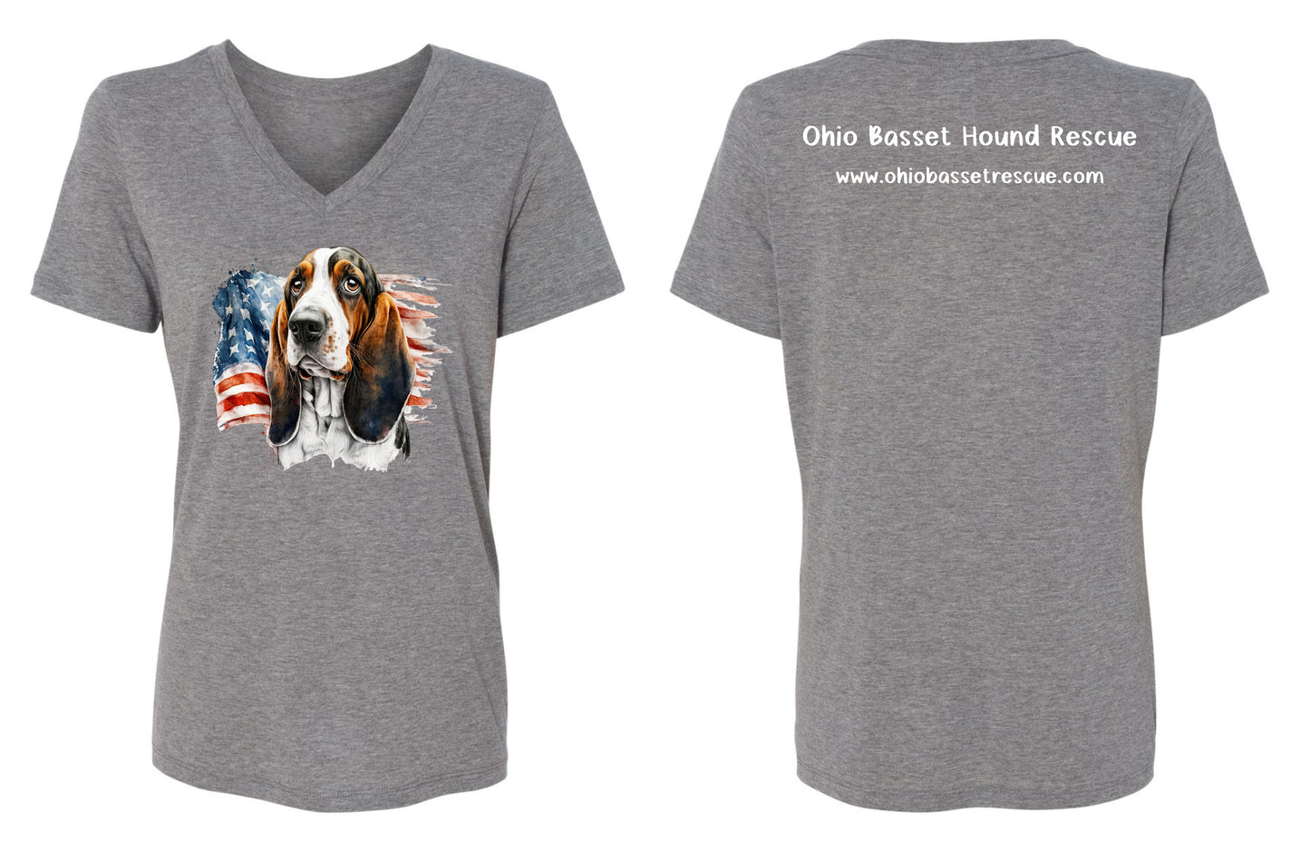 Leroy with American Flag Women's V-neck