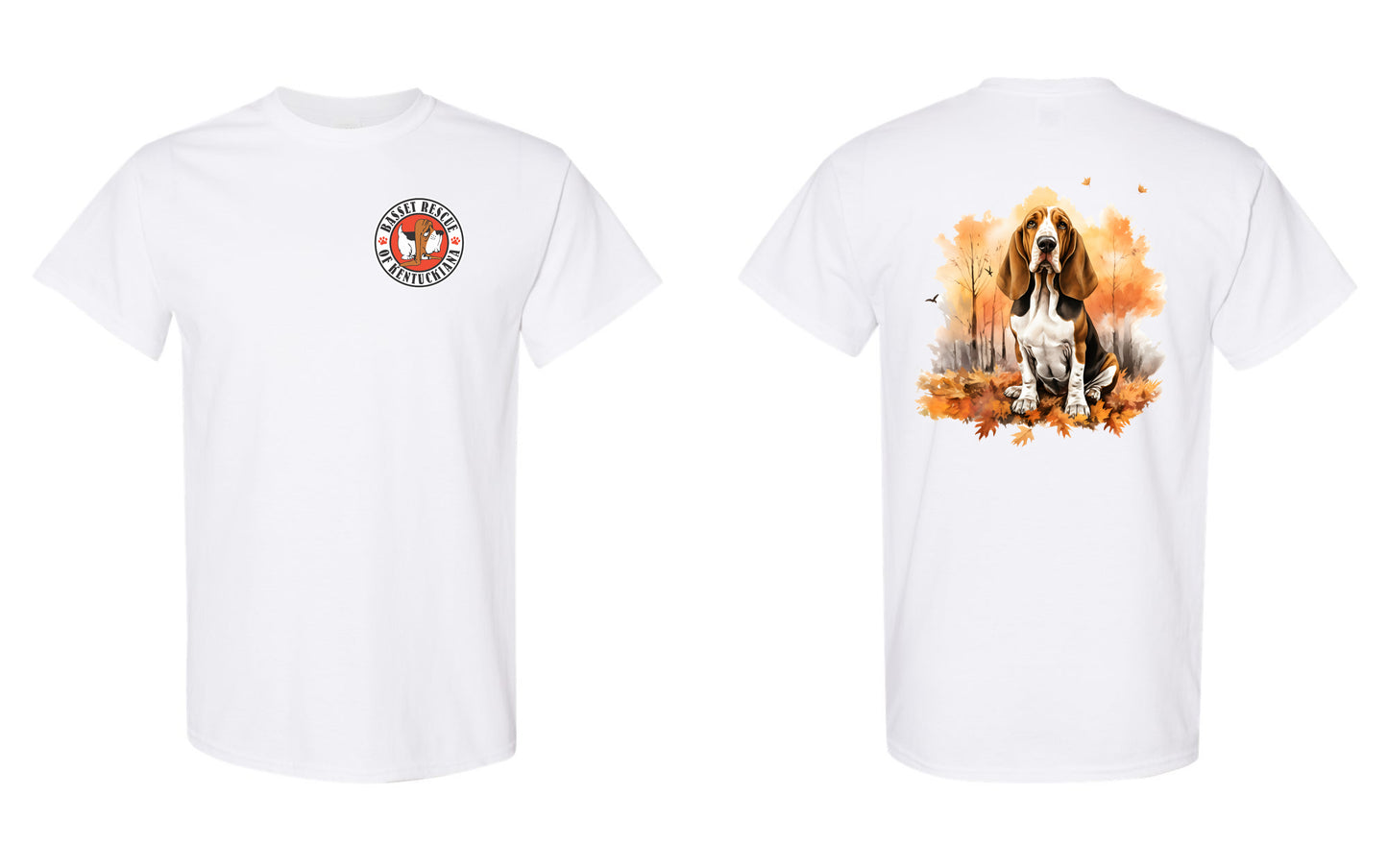 Autumn Basset Hound